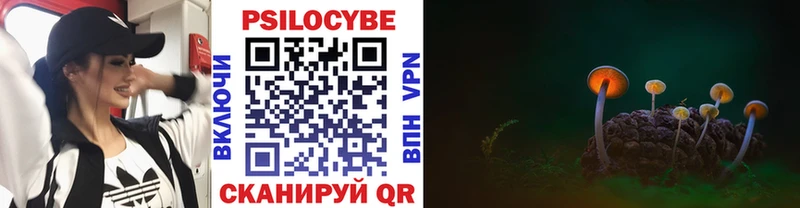 Купить закладки  Чапаевск  Псилоцибиновые грибы ЛСД 